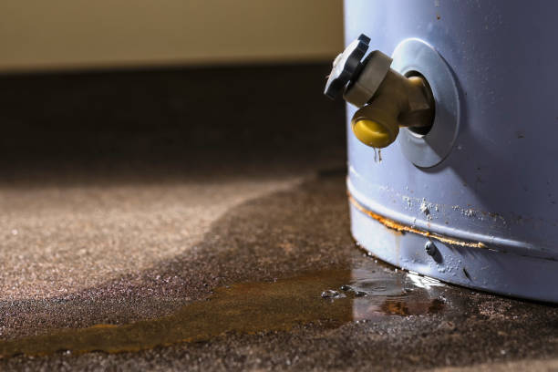 Best Carpet water damage restoration  in Langhorne Manor, PA
