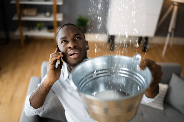 Best Water damage restoration near me  in Langhorne Manor, PA