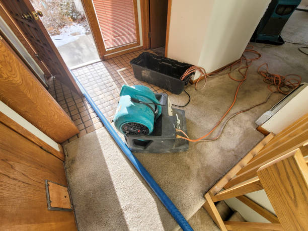 Best Water damage cleanup near me  in Langhorne Manor, PA